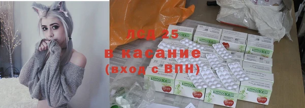 apvp Вяземский