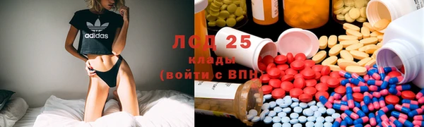 apvp Вяземский