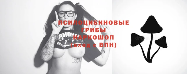 apvp Вяземский