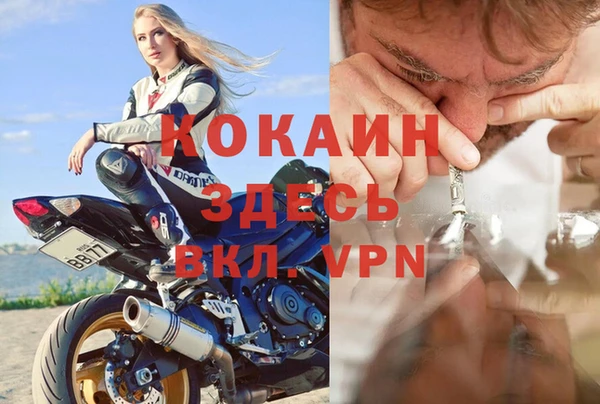 apvp Вяземский