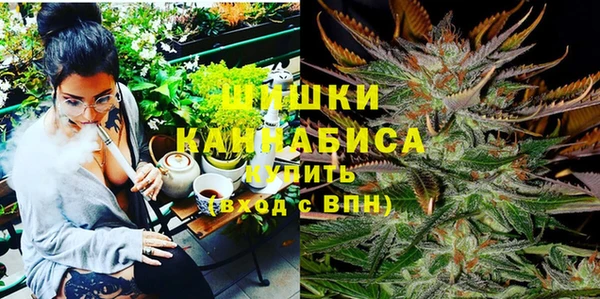 apvp Вяземский