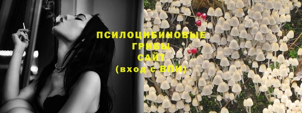 apvp Вяземский