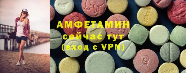 apvp Вяземский