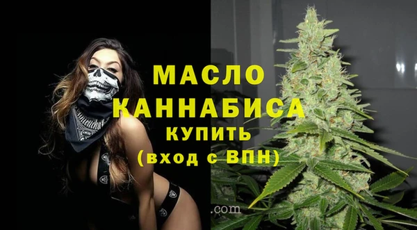 apvp Вяземский