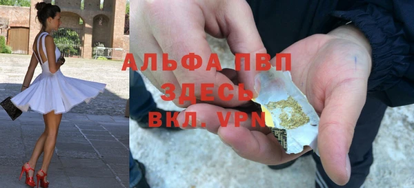 apvp Вяземский