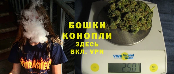 apvp Вяземский