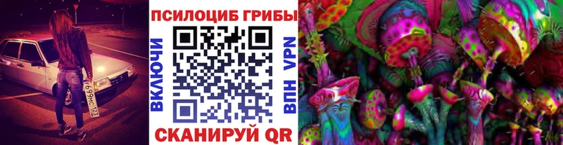 Купить закладки  Порхов  Псилоцибиновые грибы MAGIC MUSHROOMS 